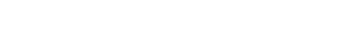 BORICGOME